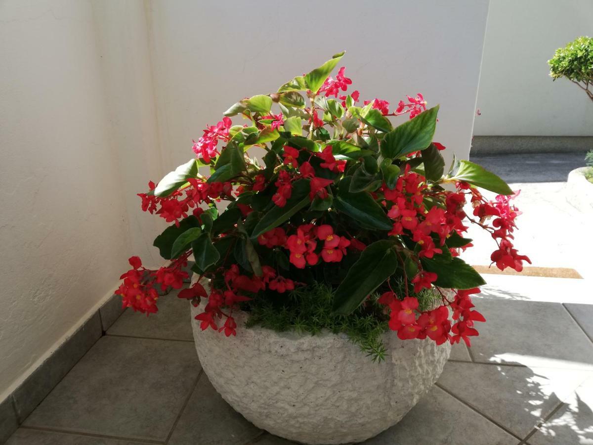 Apartman Katica Banjol Extérieur photo
